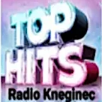 logo Top Hits Radio Kneginec