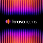 Logo bravo icons